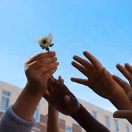 Niemand Anders (feat. Joël Domingos, Julius, Q'n, Massi & DADA) Tycho Poort
