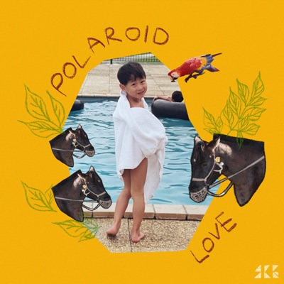 Polaroid Love - Single