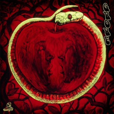 Shadie Bank - Single