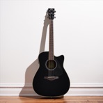 This Black Guitar