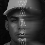 Warum artwork