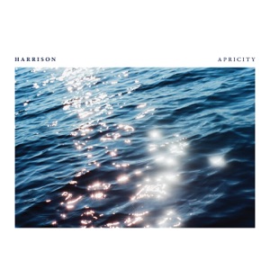 Better (feat. Daniela Andrade)
