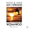 Nico & Vinz