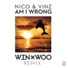 Am I Wrong - Nico & Vinz