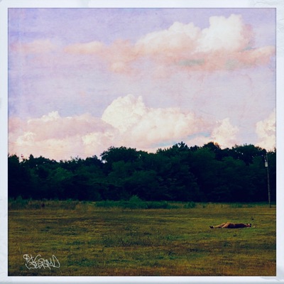 Soft Side Singles - Single