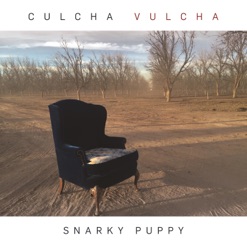 CULCHA VULCHA cover art