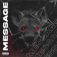 Message - Single - Hyena