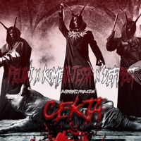 Секта - Single - Гармония Контраста, Fel1ni & D-Effect