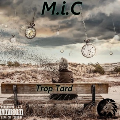 Trop Tard - Single