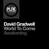 David Gradwell - Awakening