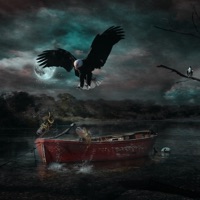 Nunchucks (Instrumental) - Single - Finch Beats