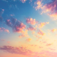 Take the Next Plane and Fly Away