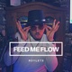 Feed Me Flow Single