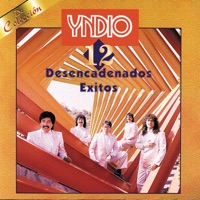 Grupo Yndio