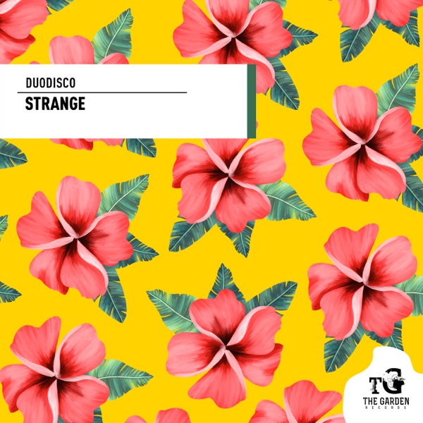 Strange - Single