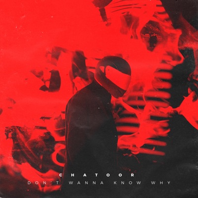 Don't Wanna Know Why - Single