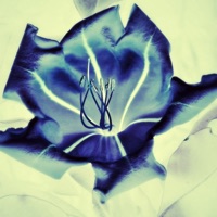 EGO (feat. ALEXANDROS) - Single - Aryan Kumar