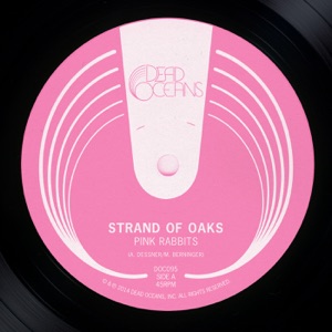 Pink Rabbits b/w Plymouth (acoustic) - Single