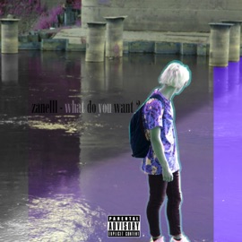 What Do You Want ? zanelll