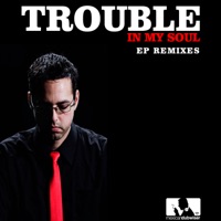Trouble in My Soul Remixes - EP - Mexican Dubwiser
