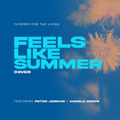 Feels Like Summer (feat. Peter Jericho & Harold Green) - Single