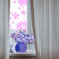 I Miss When Emo Songs Had Really Long Titles (Plead the Filth Remix) - Single - Mikie Mayo