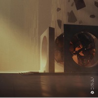 Evolving - Single - Ningen