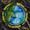 SEND IT! (Timmy Trumpet Remix) - Single