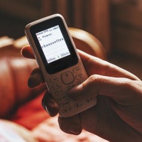 Chaussettes - Single - Spider ZED