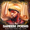 Sareem Poems, Pigeon John & Akil