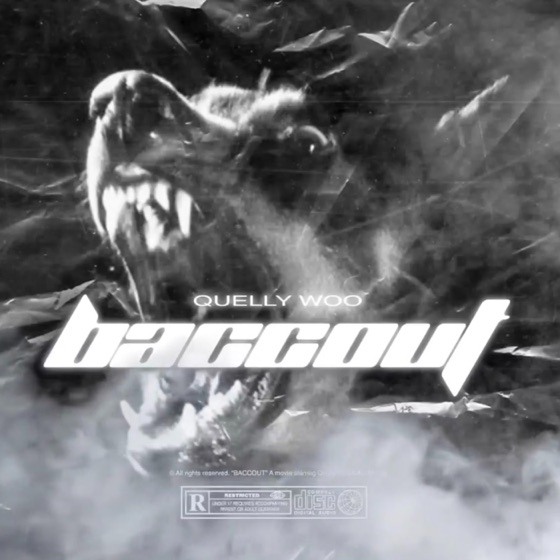 Cover artwork for Bacc Out