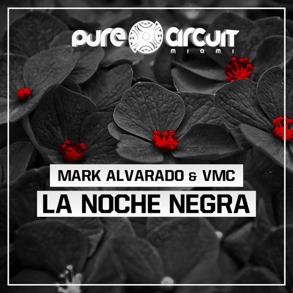 La Noche Negra - Single
