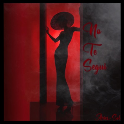 No Te Segui - Single