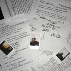 17 - XXXTENTACION Cover Art
