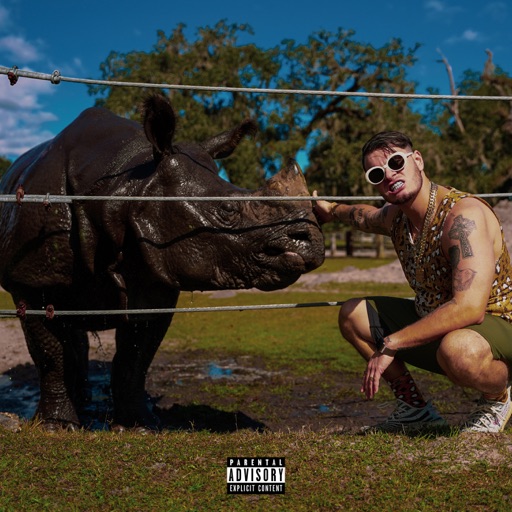 Album artwork