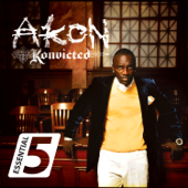 Lonely - Akon Cover Art