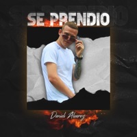 Se Prendió - Single - Daniel Alvarez