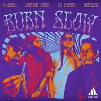 Burn Slow (feat. Zombie Juice & B-Real) - Single - Demrick & DJ Hoppa