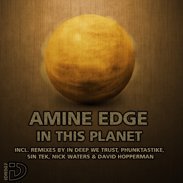 In This Planet (Remixes)