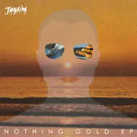 Nothing Gold — Joakim; Todd Terje