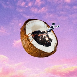 Sunset On Our Favorite Beach CAT DAD & Susannah Joffe