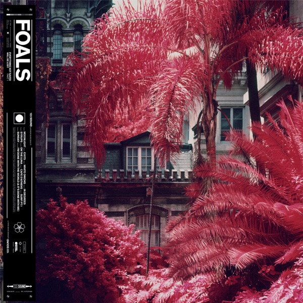 In Degrees (Purple Disco Machine Remix) - Single - Foals