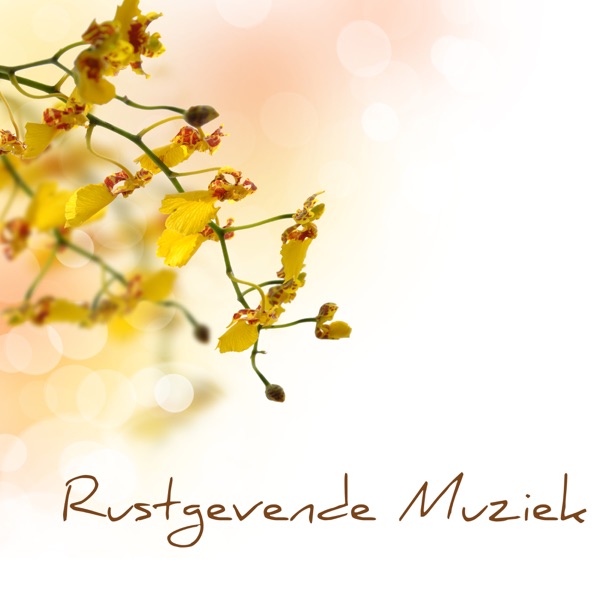 Rustgevende Muziek