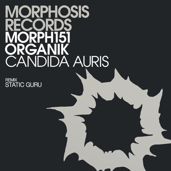 Candida Auris - Single
