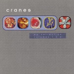 Cranes - E.G. Shining