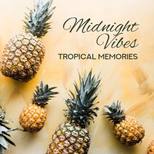 Midnight Vibes: Tropical Memories - Summer Chill House