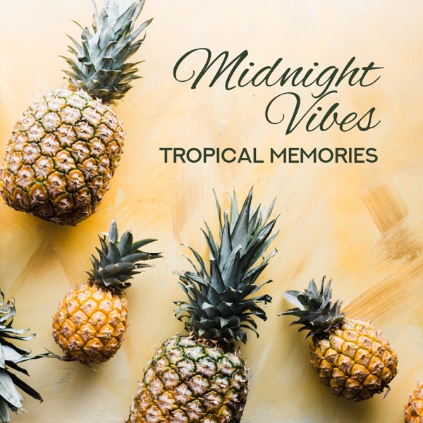 Midnight Vibes: Tropical Memories - Summer Chill House
