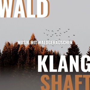Wald Klanglandschaft - Musik mit Waldgeräuschen zum Entspannen und Einschlafen