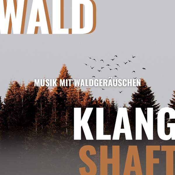 Wald Klanglandschaft - Musik mit Waldgeräuschen zum Entspannen und Einschlafen