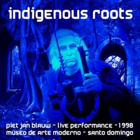Indigenous Roots - EP - Piet Jan Blauw